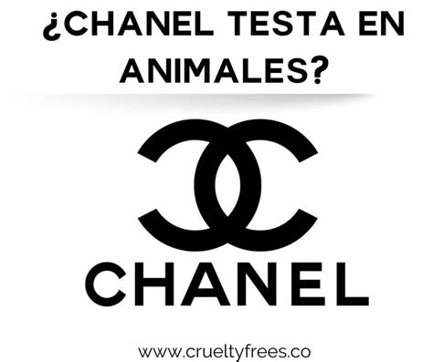 chanel testa en animales|is chanel animal cruelty free.